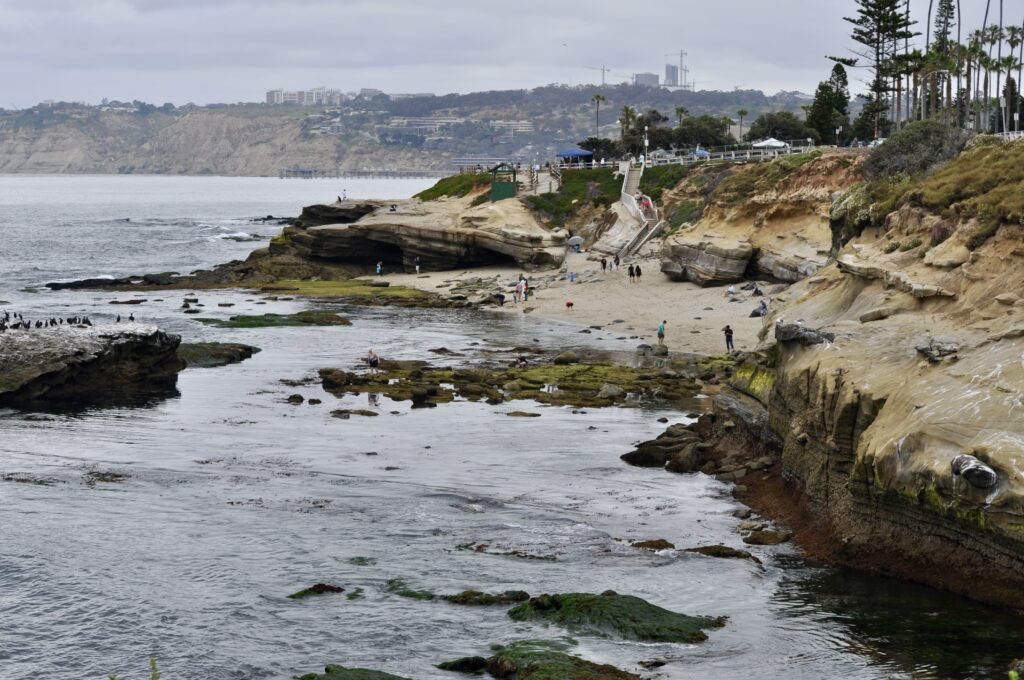 Seascape San Diego